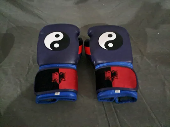 PAIR OF CUSTOMISED BOXING GLOVES