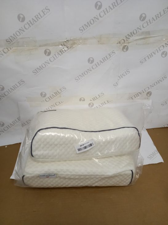 NATURE OF POWER MEMORY FOAM PILLOW