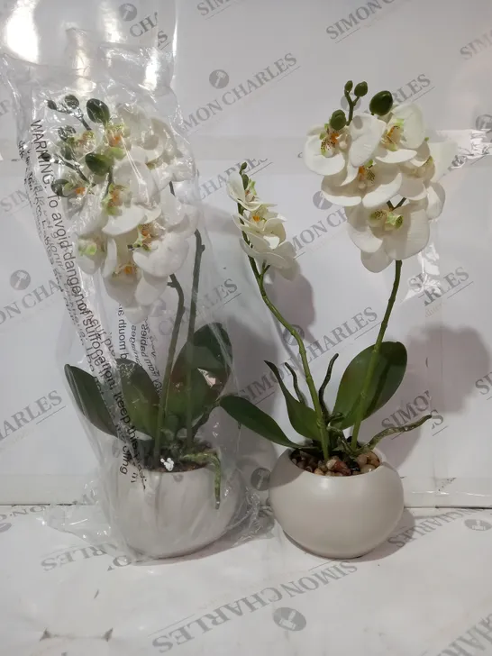 BOXED HOME REFLECTIONS SET OF TWO FAUX ORCHIDS WHITE