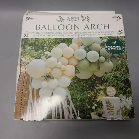 BOXED GINGERRAY BALLOON ARCH