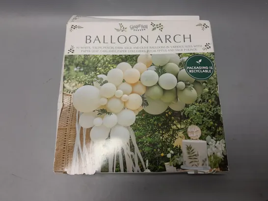 BOXED GINGERRAY BALLOON ARCH RRP £24.99