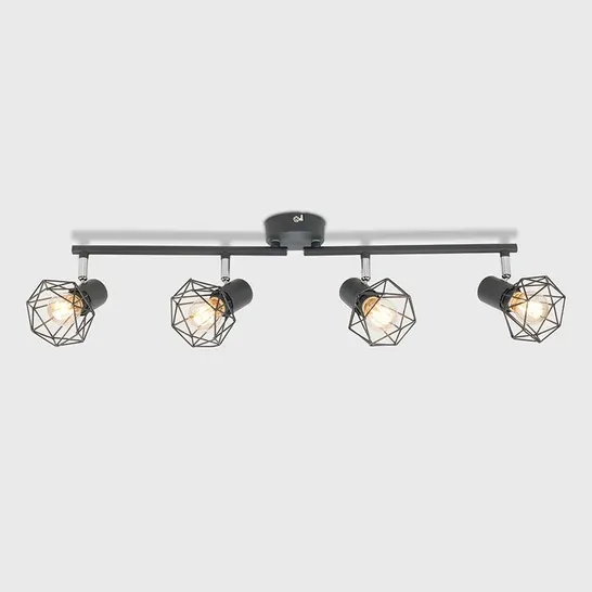 BOXED HANEY CEILING SPOTLIGHT (1 BOX)