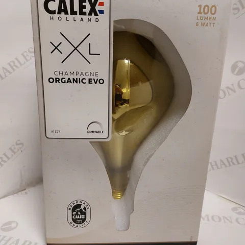 CALEX HOLLAND XXL CHAMPAGNE ORGANIC EVO BULB