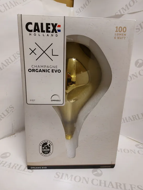 CALEX HOLLAND XXL CHAMPAGNE ORGANIC EVO BULB