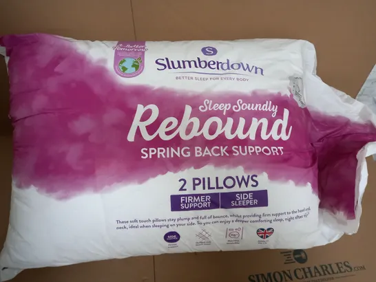 SLUMBERDOWN SET OF 2 PILLOWS 