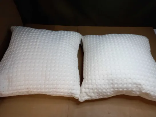 SET OF 2 PURE COTTON CUSHIONS