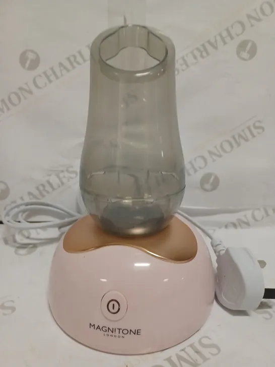 MAGNITONE STEAM AHEAD HYDRATING FACIAL MICROSTEAMER