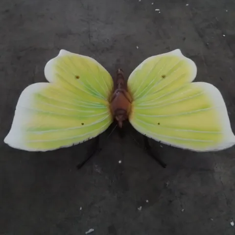 BOXED BUTTERFLY DECORATION