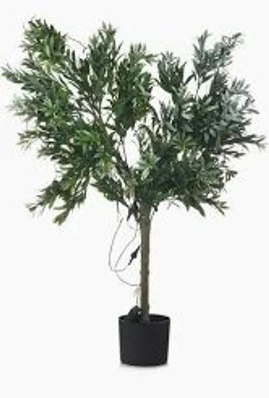 BOXED MY GARDEN STORIES BUSHY LED OLIVE TREE