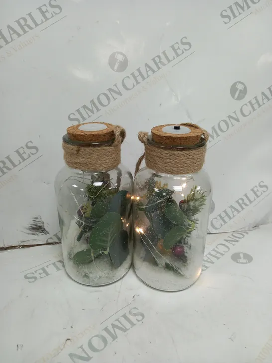 SARAH DAVIES SET OF 2 PRE LIT FOLIAGE GLASS JARS