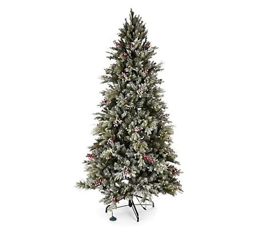 AC SUGAR SPRUCE TREE DUSTED 7FT 