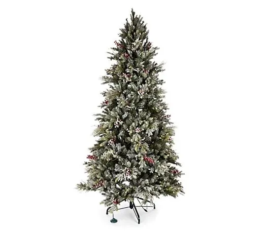 BOXED AC SUGAR SPRUCE TREE DUSTED 7FT - COLLECTION ONLY