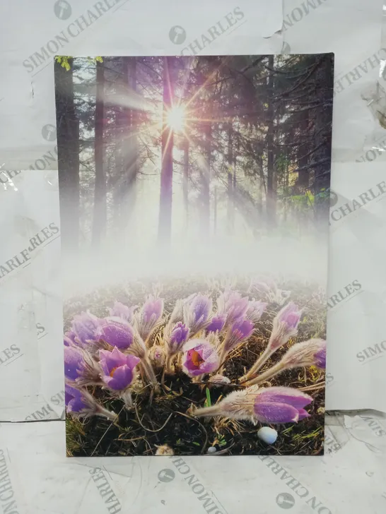 BOXED PIXXPRINT BLOOMING LILAC FLOWERS IN FOREST GRAPHIC ART PRINT ON CANVAS 40X60CM