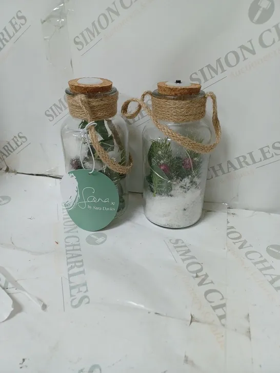 SARAH DAVIES SET OF 2 PRE LIT FOLIAGE GLASS JARS