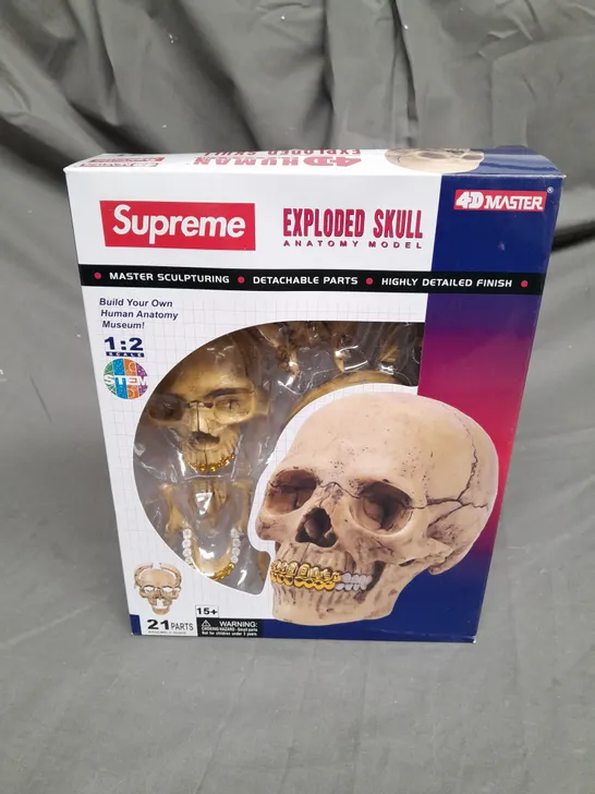 SUPREME EXPLODED SKULL ANATOMY MODEL - 1:2 SCALE