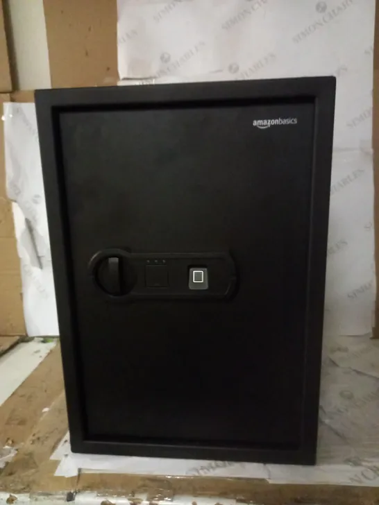 AMAZON BASICS SAFE