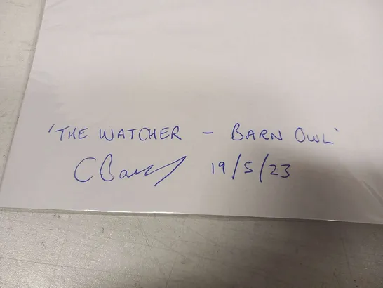 CARL BOVIS 'THE WATCHER'- BARN OWL SIGNED PRINT