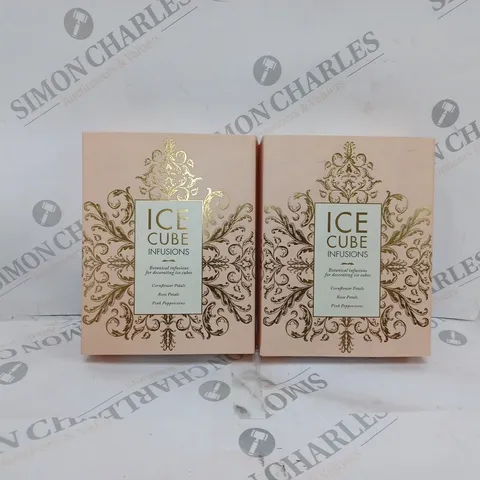 BOX OF 2 BOTANICAL ICE CUBE INFUSION KITS