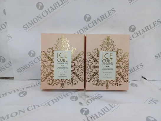 BOX OF 2 BOTANICAL ICE CUBE INFUSION KITS