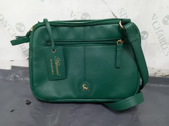 ASHWOOD LEATHER CROSSBODY BAG IN GREEN