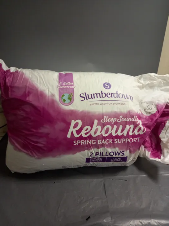 SLUMBERDOWN SLEEP SOUNDLY REBOUND 2 PILLOWS