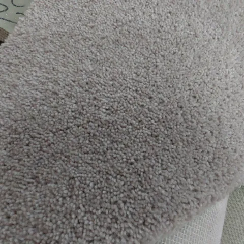 ROLL OF QUALITY DIMENSIONS PLAINS CARPET APPROXIMATELY 5M × 3.22M