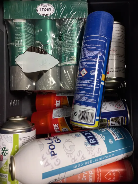 APPROXIMATELY 15 ASSORTED AEROSOLS TO INCLUDE RY-40, BRUT DEODORANT, FLEA KILLER ETC - COLLECTION ONLY 