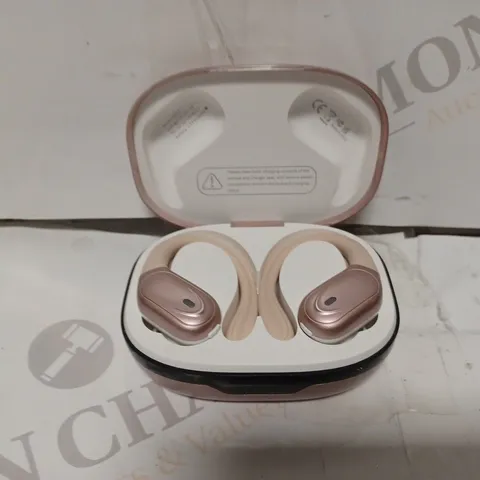 CASCHO BX17 TRUE WIRELESS EARBUDS FOR SPORT