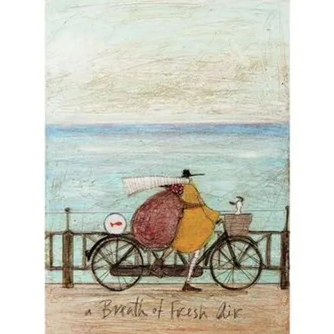 BOXED A BREATH OF FRESH AIR BY SAM TOFT