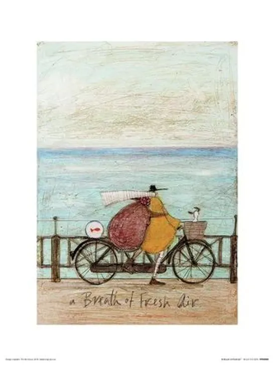 BOXED A BREATH OF FRESH AIR BY SAM TOFT