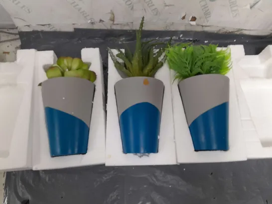 TRIO OF INSIDE SUCULENT PLANTS IN GREY/BLUE BASES