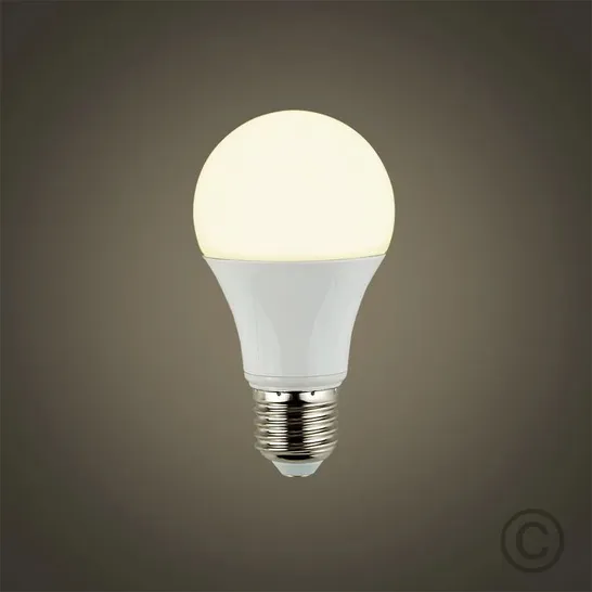 BOXED 2 × E27 LIGHT BULB