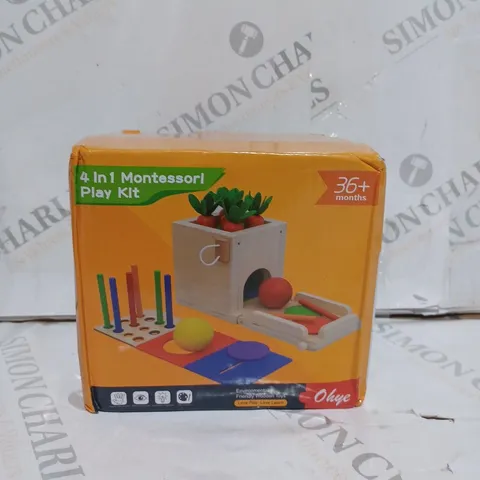 4 IN 1 MONTESSORI PLAY KIT AGES 36+
