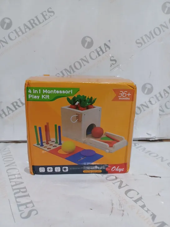 4 IN 1 MONTESSORI PLAY KIT AGES 36+