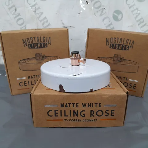 BOXED NOSTALGIA LIGHTS SET OF 10 CEILING ROSE IN MATTE WHITE W.COPPER GROMMET