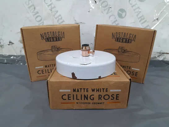 BOXED NOSTALGIA LIGHTS SET OF 10 CEILING ROSE IN MATTE WHITE W.COPPER GROMMET