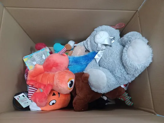 APPROXIMATELY 19 ASSORTED PLUSH SOFT TOYS