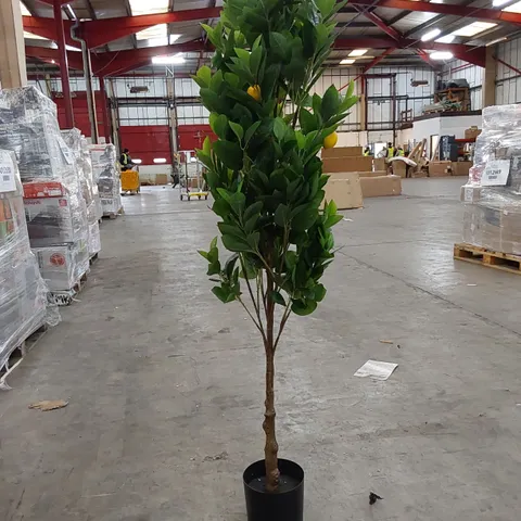 BOXED 150CM ARTIFICIAL LEMON TREE