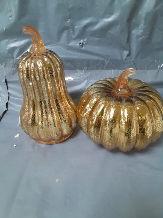 LIGHT UP PUMPKIN AND GOURD SET RRP £19.99