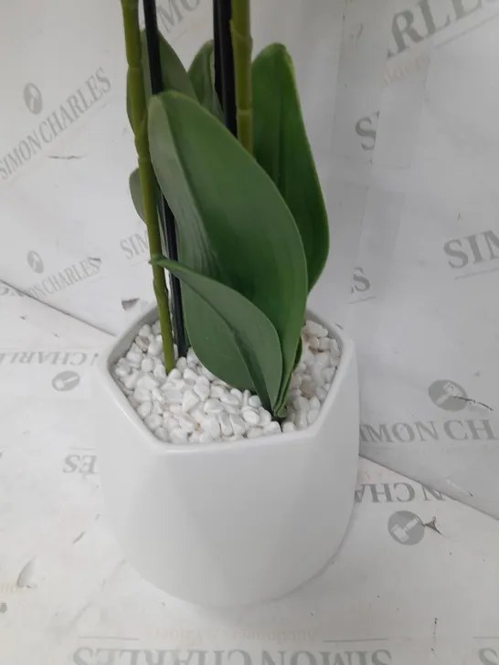 JULIEN MACDONALD MULTI STEM ORCHID IN WHITE GLAZED POT