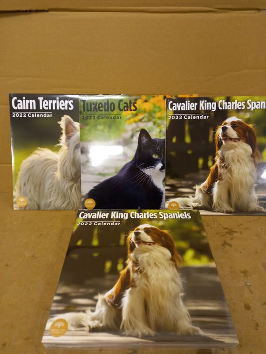 LOT OF 11 SEALED BRIGHT DAY COMPANY PET 2022 CALENDARS TO INCLUDE CAIRN TERRIERS, TUXEDO CATS, CAVALIER KING CHARLES SPANIELS 