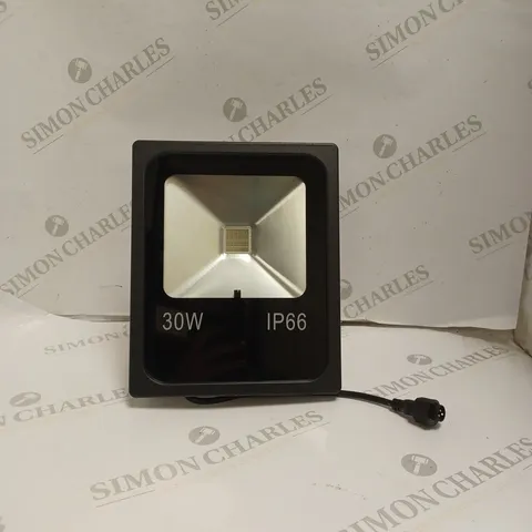 30W LED FLOOD LIGHT. 