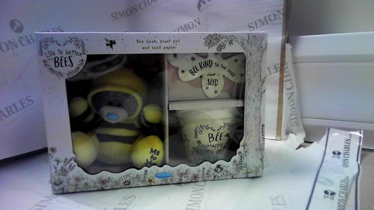 BEE HAPPY - BEE BEAR PLANY POT AND SEED PAPER