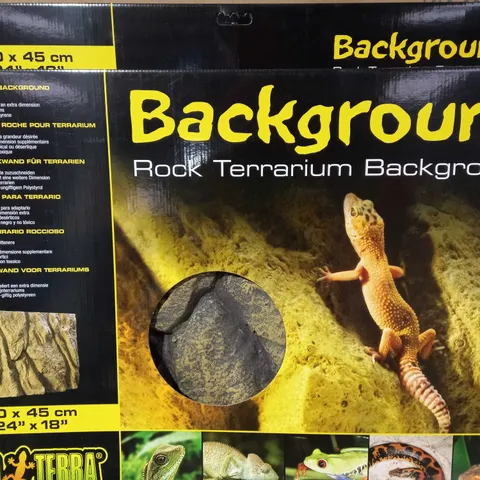 BOXED ROCK TERRARIUM BACKGROUND