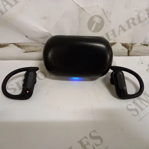 BLUETOOTH TRUE WIRELESS EARBUDS