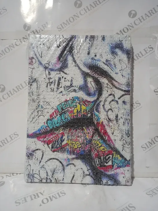 UNBRANDED GRAFFITI STYLE CANVAS ART PRINT