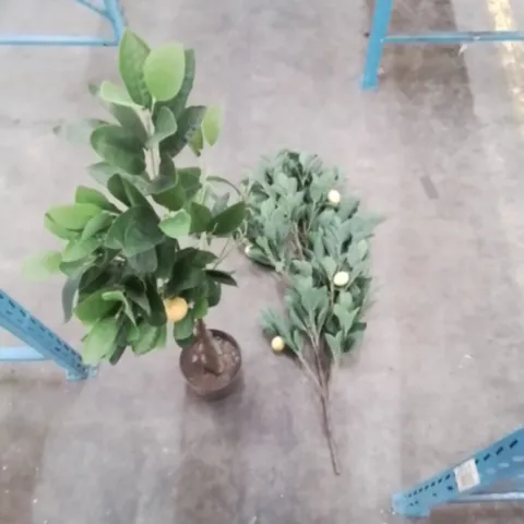 BOXED 150CM ARTIFICIAL LEMON TREE