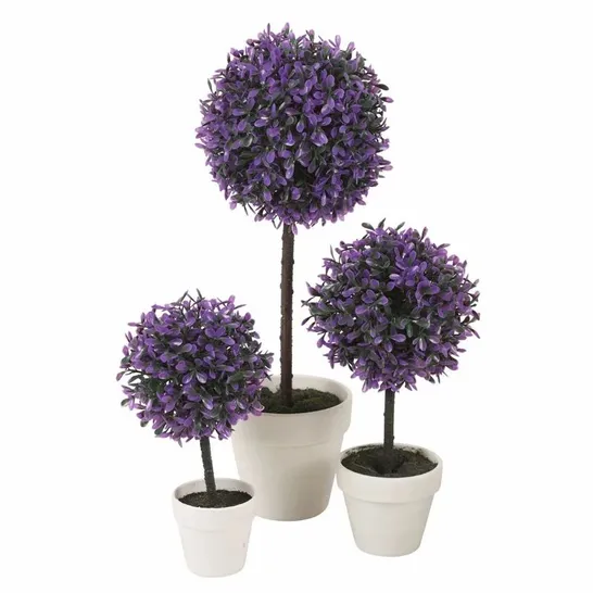 BOXED OLIVE TREE IN A POT (SET OF 2)