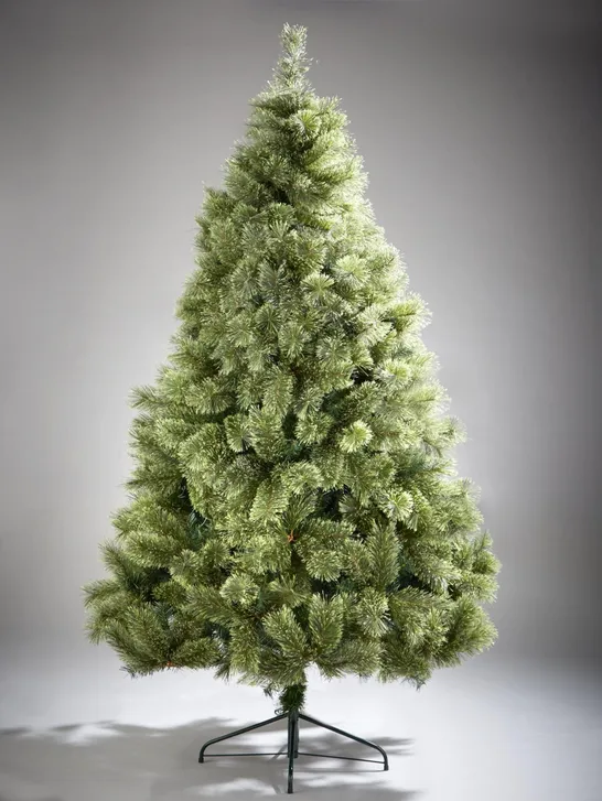 BOXED 7FT CASHMERE TIPS CHRISTMAS TREE - COLLECTION ONLY RRP £119.99