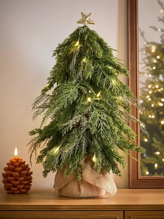 FERN PRE-LIT SMALL CHRISTMAS TREE RRP £29.99